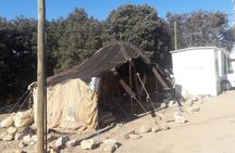 Atlas Mountains, Morocco: Ifrane, Azrou, Monkey Forest, Full Day Tour from Fez