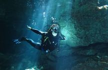 Cenotes diving from Riviera Maya