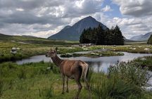 Highlands Private One Day Tour of Scotland