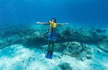 Cozumel Catamaran Snorkeling Tour & Lunch (Hotel Pick Up)