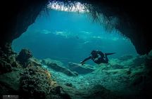 Diving in Angelita and Casa Cenotes from Riviera Maya