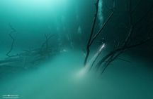 Diving in Angelita and Casa Cenotes from Riviera Maya