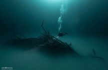 Diving package Dive Guru
