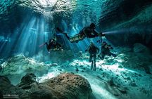 Diving in Dos Ojos, The Bat and The Pit Cenotes from Riviera Maya