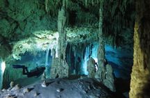Cenotes diving Dos Ojos and The Bat Cave