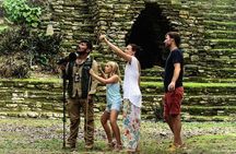 Birdwatching at The Mayan Cities with certified guide