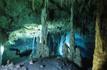 Diving in Dos Ojos, The Bat and The Pit Cenotes from Riviera Maya