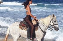 Aruba Horseback Riding Tour For Advanced Riders