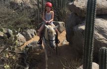 Aruba Horseback Riding Tour to Hidden Lagoon