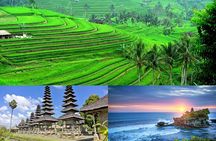 Jatiluwih Rice Terrace & Tanah Lot Tours