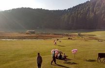 Shimla Queen Of Hills Tour Package 3 Days By Car 