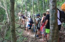 Full-Day Koh Samui 4x4 Jungle Adventure with Lunch
