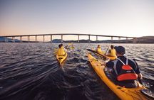 Hobart Kayak Tour
