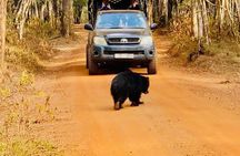 Private Udawalawe Nationalpark Jeep-Safari