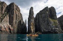 Tasman Peninsula full day kayaking tour