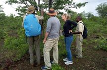 Rhino & Nature walk in the Musiotunya National Park