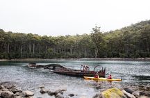 Tasman Peninsula full day kayaking tour