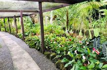 Nadi Sightseeing & Mud Pool Tour - Ex Fiji Marriott, Momi Bay