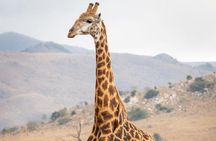 Private Le Cape Animal Farms Full Day Tour