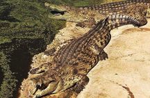 Private Le Cape Animal Farms Full Day Tour
