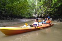 Phang Nga Bay kayaking day trip