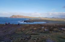 Dingle Peninsula Day Tour from Killarney: Including The Wild Altanic Way