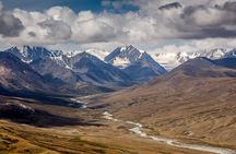 Altai Tavan Bogd Combined Tour, Western Mongolia