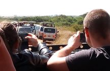 Lake Nakuru National Park Day Tour