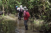 full adventure deep in the jungle 3/days 2/nights 360 usd