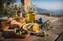 From Venice Olive Oil & Wine in the Euganean Hills