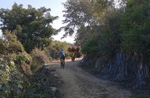 Morning Bike Tour of Udaipur