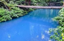 Rio Celeste, Tenorio Hike, Sloths Sanctuary & Meal