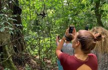 Private Tour: Coba ruins & Monkey Sanctuary with Punta Laguna