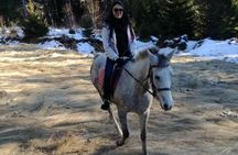 Private 2-Day Horseback Riding in Rhodope Mountains from Plovdiv