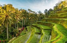 Private Ubud Day Tour