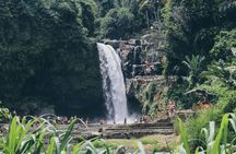 Private Ubud Day Tour