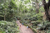 Private Ubud Day Tour