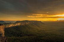 PRIVATE Blue Mountains Wilderness & Wildlife Late Start Tour