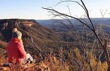 PRIVATE Blue Mountains Wilderness & Wildlife Late Start Tour