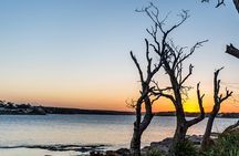 Escape Sydney: Sea Cliff Bridge, Blowhole, Beaches Private Tour 