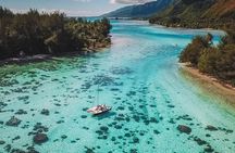 Half Day Tour : Moorea Snorkeling & Sailing on a Catamaran named Taboo 