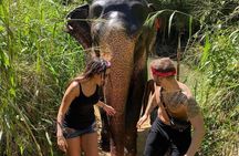 5 Days Tour in Sri Lanka (Hotels with Breakfast & Luxury Car)