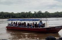 Private Tour Fireflies, Eagles and Monkey