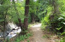 Walk on Artemis trail and in Old Kakopetria