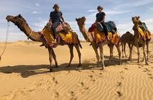 Nomadic Non-Touristic Overnight Tour & camel Safari 