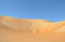 Liwa Full Day Desert Safari (exploring)