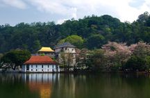 3 Days Tour to Kandy Nuwara Eliya & Sigiriya from Colombo