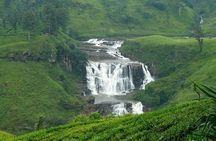 3 Days Tour to Kandy Nuwara Eliya & Sigiriya from Colombo
