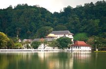 3 Days Tour to Kandy Nuwara Eliya & Sigiriya from Colombo