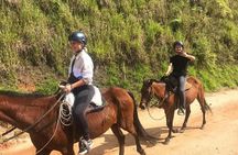Authentic Colombian Horseback Ride